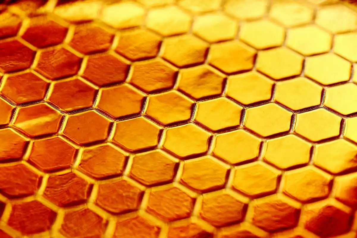 Close-up of a honeycomb pattern